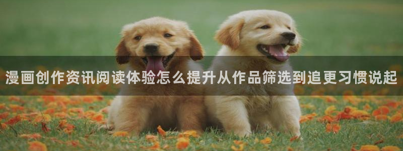 漫画岛漫画精选