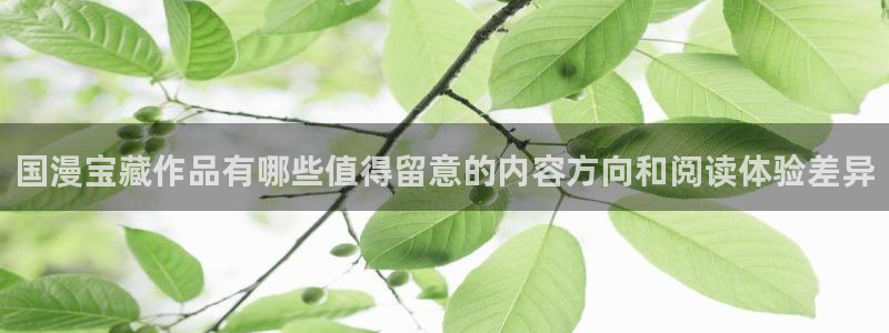 漫画岛热门推荐:国漫宝藏作品有哪些值得留意的内容方向和阅读体验差异