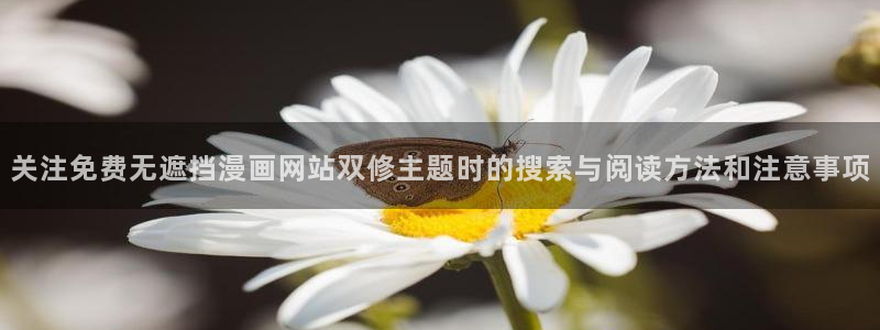 漫画岛精品漫画:关注免费无遮挡漫画网站双修主题时的搜索与阅读方法和注意事项