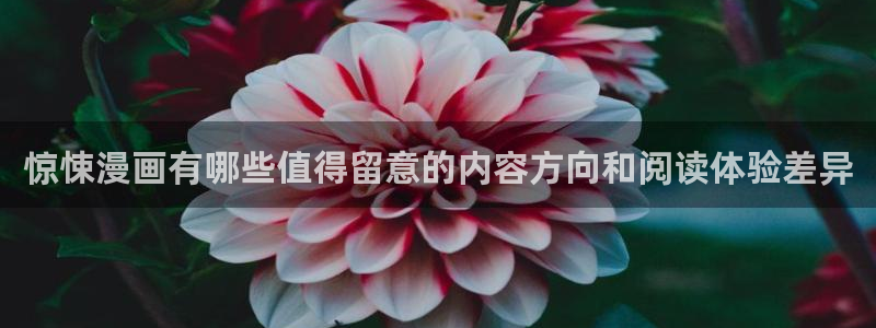 漫画岛在线漫画：惊悚漫画有哪些值得留意的内容方向和阅读体验差异