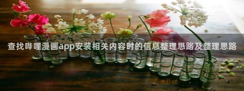 漫画岛奇幻漫画：查找哔哩漫画app安装相关内容时的信息整理思路及整理思路