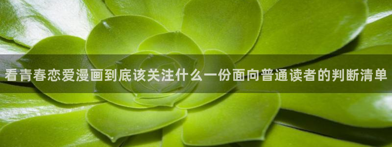 漫画岛好看的漫画:看青春恋爱漫画到底该关注什么一份面向普通读者的判断清单